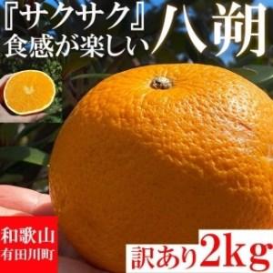 ふるさと納税 みかん はっさく 八朔 2kg 訳あり  ブランド 和歌山 有田みかん ありだみかん 和歌山県有田川町