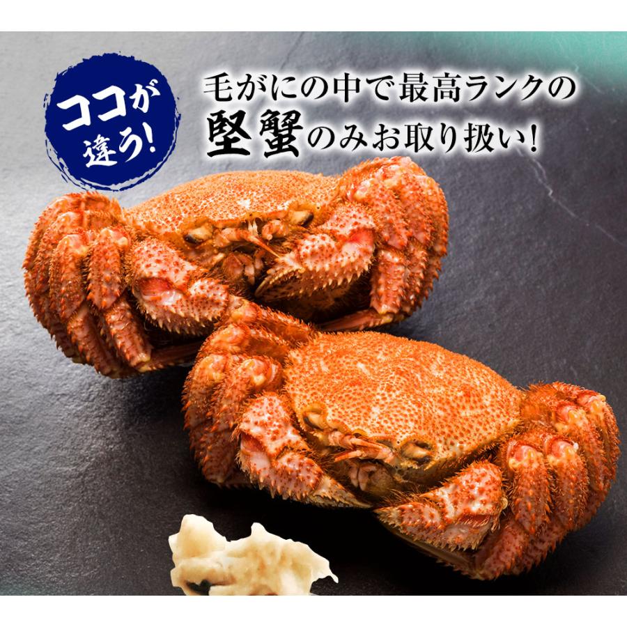 ボイル 毛ガニ 姿 特大 800g〜900g かに カニ 蟹 毛がに 毛蟹 ボイル 訳あり お歳暮 BBQ