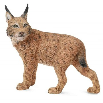 動物模型《 COLLECTA 》山貓