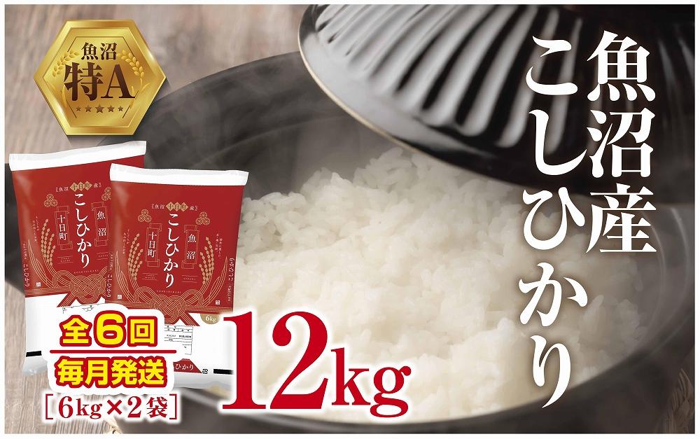 魚沼産 こしひかり 6kg ×2袋 計12kg 米 コシヒカリ お米 コメ 新潟 魚沼 魚沼産 白米 送料無料 新潟県産 精米 産直 産地直送 契約農家 お取り寄せ 壱成 新潟県 十日町市 DE308