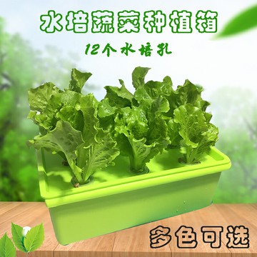 種菜盆 無土栽培蔬菜設備家庭陽臺水培種菜機室內自動水耕種植箱塑料花盆