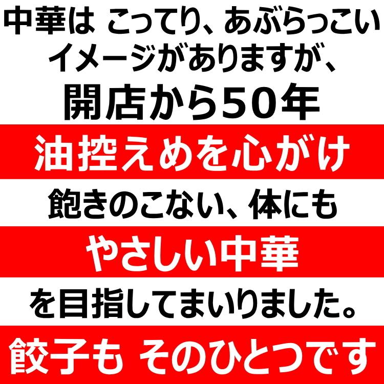 餃子 ギョーザ 5パック 取り寄せ 手づくり 冷凍 点心 中華