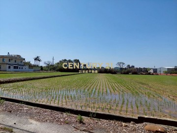 新豐460坪漂亮農地｜新竹縣新豐鄉崁頭