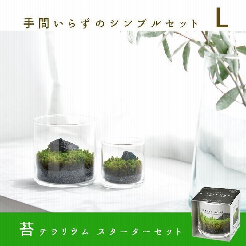 庭テラリウム Lサイズ 手作りキット 苔 苔リウム 栽培キット ミニ盆栽 栽培キット 和風 植物 Diy ギフト プレゼント 父の日 夏向22 通販 Lineポイント最大0 5 Get Lineショッピング