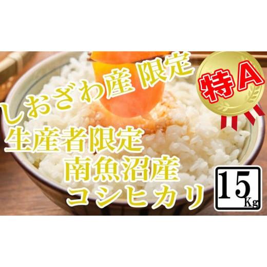 ふるさと納税 新潟県 南魚沼市 しおざわ産限定 生産者限定 南魚沼産コシヒカリ