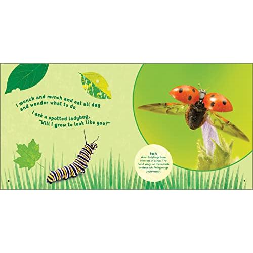 The Backyard Bug Book for Kids: Storybook, Insect Facts, and Activities (Le