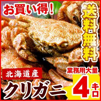 北海道産 クリガニ クリ毛ガニ 約4kg（約20-24尾前後入り）クリ毛蟹 クリ毛がに クリけがに 蟹 カニ かに ギフト 送料無料（沖縄宛は別途送料を加算）