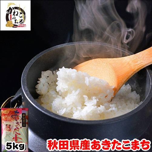 新米 5kg 秋田県産 あきたこまち 米 令和5年産 内のし対応 贈り物