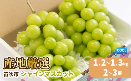 ＜2024年先行予約＞産地厳選シャインマスカット1.2kg～1.3kg（2房～3房）※沖縄・離島配送不可※ 106-003