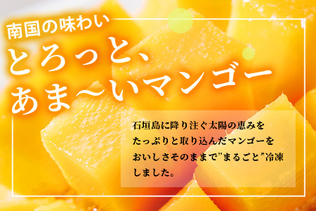 石垣島産まるごと冷凍マンゴー　2～5個 約1kg　KP-16