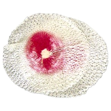 CAMPING ACE 野樂 無輻射大燈蕊 ARC-920-L 適合瓦斯燈使用 2入裝  白色 + 粉色  1組