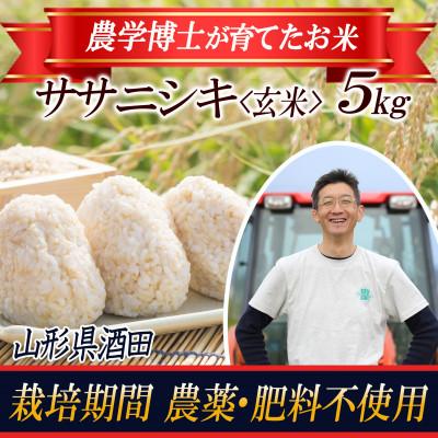 ふるさと納税 酒田市 ササニシキ 玄米5kg 農学博士が栽培 山形県酒田 令和5年産