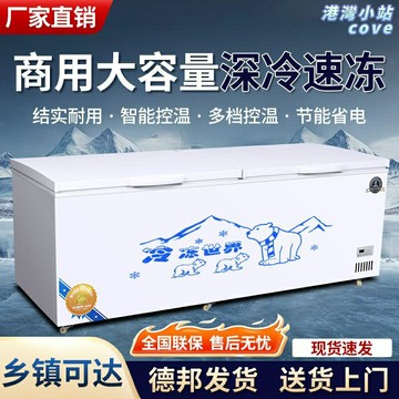 【商用大容量】冰櫃 冷凍櫃 冷藏櫃 臥式冰櫃 展示櫃 雙溫冰櫃 全冷凍冰櫃 工廠直營 節能省電 超市便利店專用