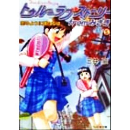 トゥルーラブストーリー　ｆｒｏｍみさき 恋のように僕たちは ファミ通文庫／玉井豪(著者)