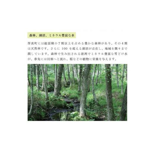 ふるさと納税 北海道 厚真町 《令和5年度産 新米》3ヵ月毎月届く！定期便「北海道厚真産さくら米10kg」＋特産品1回コース