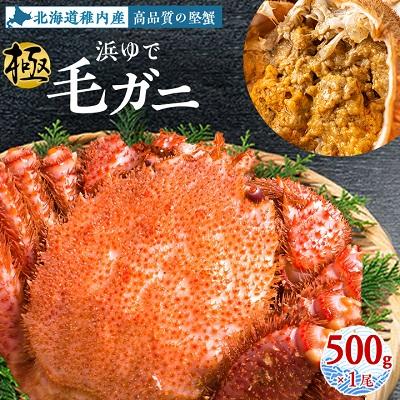 ふるさと納税 稚内市   浜ゆで毛ガニ(堅蟹) 500g×1尾