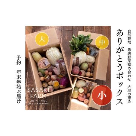 ふるさと納税 〈自然栽培〉佐々木ファーム　旬の野菜詰め合わせ　〜ありがとうBOX 2023・小〜　やさい　直送　北海道　洞爺湖町 北海道洞爺湖町