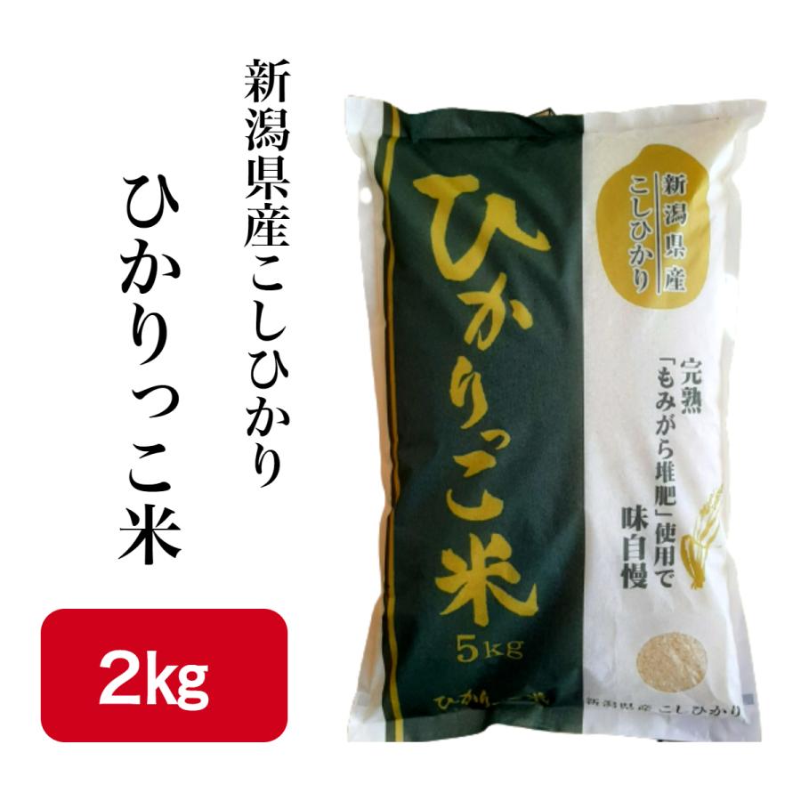 精米 新潟県産 こしひかり ひかりっこ米 2kg 令和4年産 新米 熟成もみがら堆肥使用 新米 白米 米 コメ