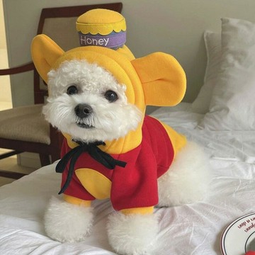 抹茶寵物狗狗衣服秋冬季泰迪比熊博美柯基雪納瑞小型幼犬貓咪衛衣 雙11全館免運