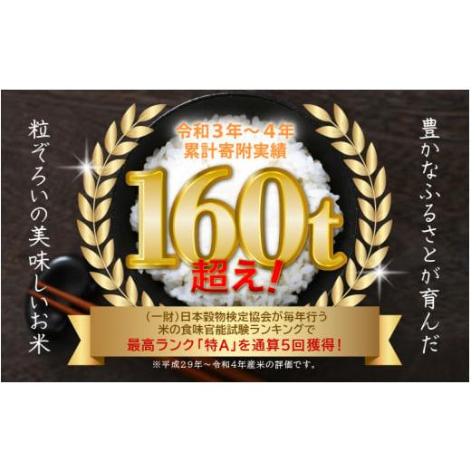 ふるさと納税 福井県 越前町 年内発送！特A通算5回！お米 いちほまれ 5kg 令和5年 福井県産 [e27-a016]