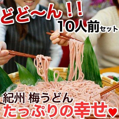 ふみこ農園 ご家庭用 大盛り冷し梅うどん 麺、めんつゆ、梅干240gが付いて10食分セット