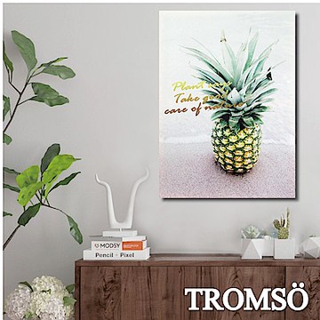 TROMSO 時尚無框畫-北歐菠蘿 W272