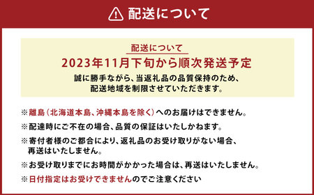 A161  あまおう 24～30粒 いちご