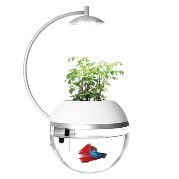 ARKY 香草與魚X智能版Herb&Fish X Connect水族箱  1個