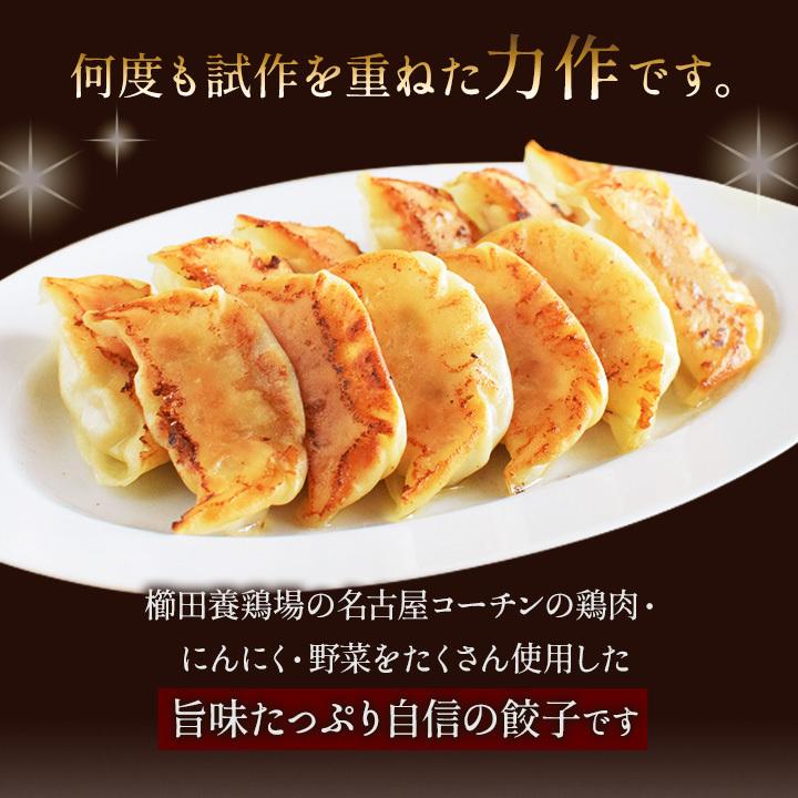 ＼おひとり様1回限り／お試しで1袋！名古屋コーチン餃子冷凍餃子 餃子 送料無料 お試し 生餃子 冷凍生餃子 食品 惣菜 中華 鶏肉