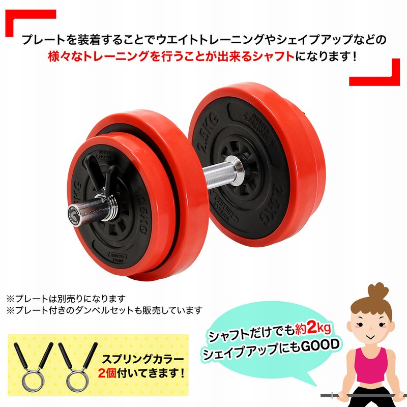 WILD ワイルド　100kg ウエイト25kg 4枚セット WILD ワイルド 100kg ウエイト25kg 4枚セット