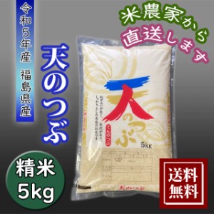 米 新米 5kg 天のつぶ お米 5kg 農家直送 福島県産 令和5年産 送料無料