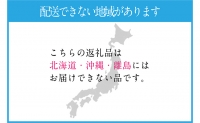 ぶどう 2024年 先行予約 9月・10月発送 シャイン マスカット 晴王 1房 約600g ブドウ 葡萄  岡山県産 国産 フルーツ 果物 ギフト