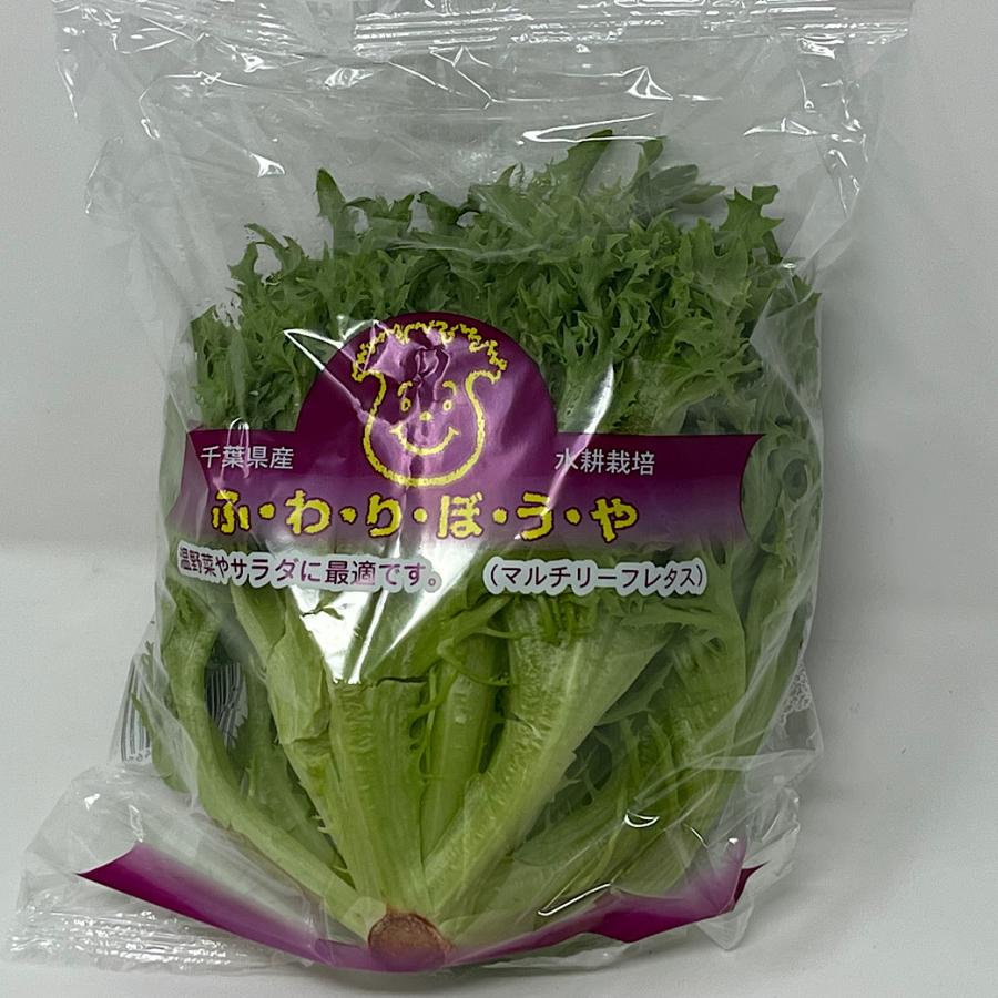 フリルレタス リーフレタス サラダ 葉野菜 レタス １個