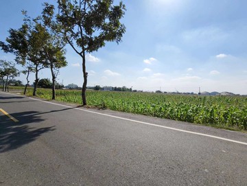 前後臨路｜10米鄉道旁方正農地出價即談｜台南市下營區麻豆寮