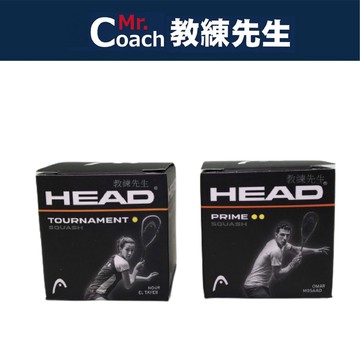 【教練先生】HEAD 壁球 Championship Ball 雙黃點 初學者 單黃點 進階 287326 287306