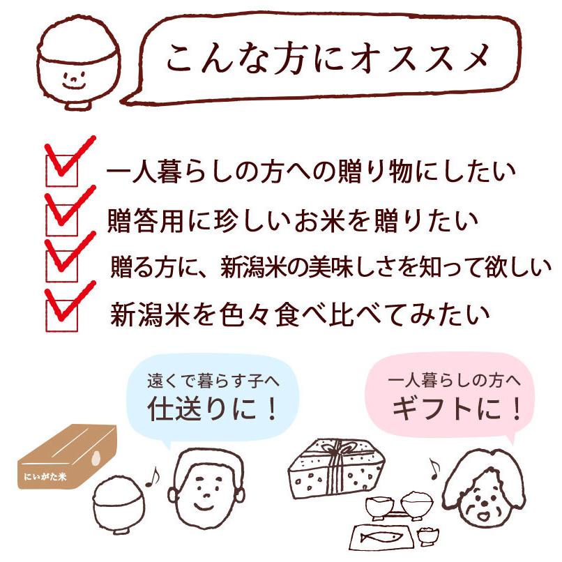 お米 4kg 送料無料 選べる新潟米BOX 4kg(2kg×2) 全10種類 化粧箱付き 食べ比べ ギフト 無洗米 精白米 新潟産 魚沼産 令和5年産 新米