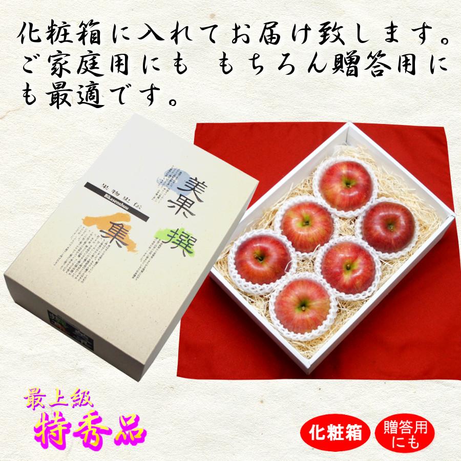 サンふじ りんご 化粧箱 甘い 特秀 長野県 林檎 通販 送料無料 12月 旬 果物 贈答 ギフト 6玉