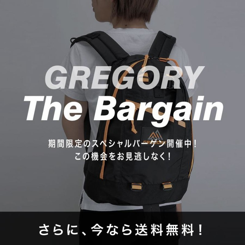 グレゴリー GREGORY リュック ファインデイ fineday | LINE