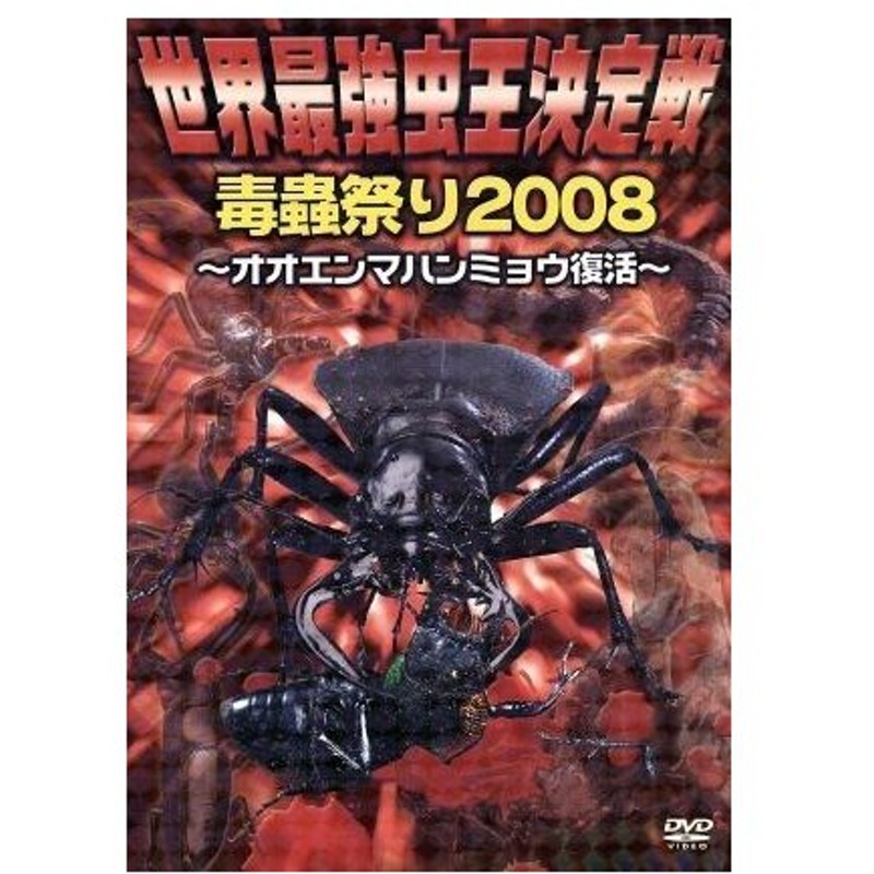 世界最強虫王決定戦 毒蟲祭り２００８ オオエンマハンミョウ復活 ドキュメント バラエティ 通販 Lineポイント最大get Lineショッピング