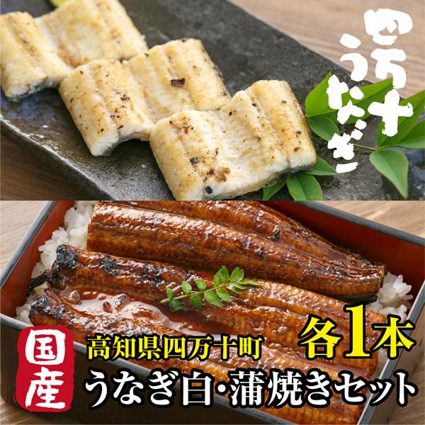 国産 高級うなぎ 白・蒲焼き 高知県産 鰻 割烹 ウナギ 専門店 高知県