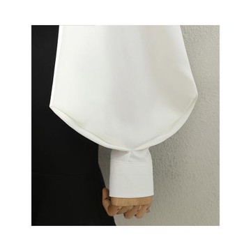 氣質職業白色翻領襯衫女2025春秋燈籠袖百搭通勤OL設計感洋氣襯衣