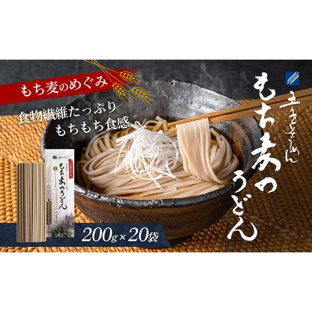 ふるさと納税 もち麦のうどん 愛媛県東温市