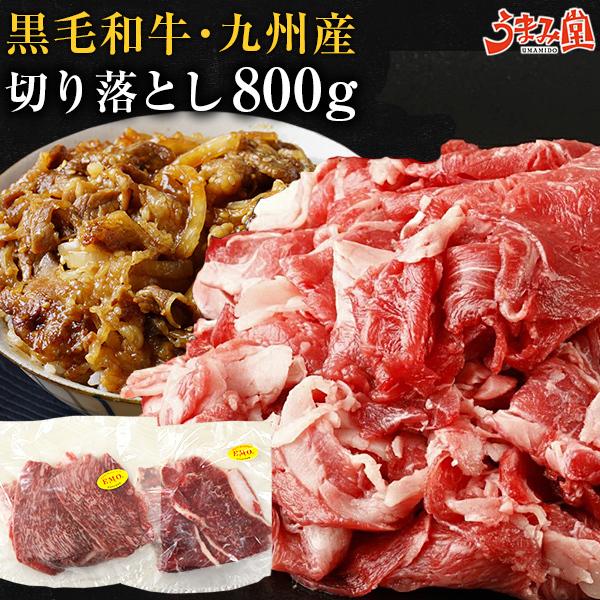 牛肉 九州産 黒毛和牛 切り落とし 800g (400g×2) セット 宮崎 有田牧場 国産 送料無料 鍋 焼肉 プレゼント ギフト お取り寄せグルメ 高級 [産直]