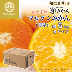 [予約 11月25日-12月31日の納品] マル賢青秀 約 5kg Sサイズ 樹上完熟 マルケン和歌山県産 マルケン まるけん 上級品 みかん 冬ギフト