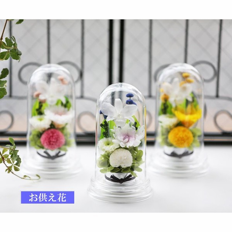 プリザーブドフラワー ミニマムドーム 初盆 新盆 仏花 お供え花 ミニ仏壇用 ブリザードフラワー 小仏壇 法事 仏壇 お彼岸 葬儀 法要 アレンジメント 通販 Lineポイント最大0 5 Get Lineショッピング