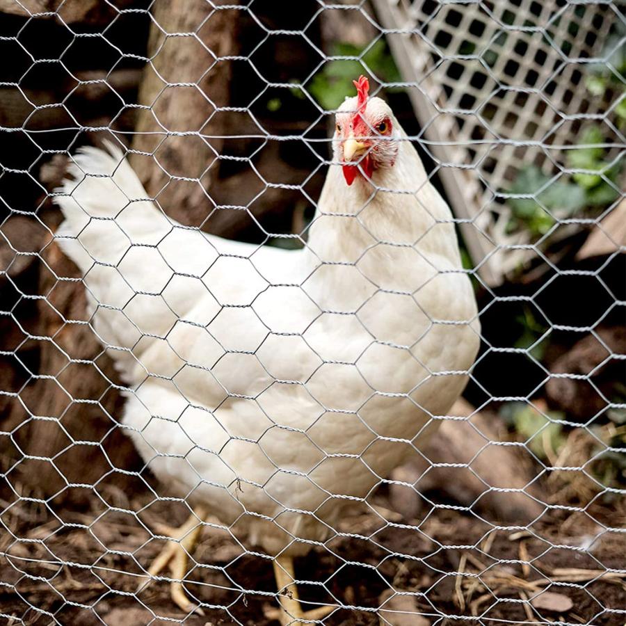 KRW 金網 ロール 幅1mx長さ25m 亀甲金網 メッシュ 防獣ネット フェンス 防鼠 防鳥 園芸用 農業用 建築用 家庭菜園 鶏小屋の外