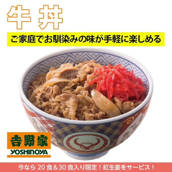 吉野家 牛丼 10食セット 冷凍 牛丼の具 吉牛 レトルト 新生活応援