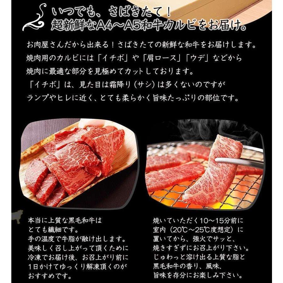 最高級 A5 極上 和牛 カルビ 700g 焼肉用 希少部位 黒毛和牛 佐賀牛 宮崎牛   父の日 ギフト プレゼント お祝い 内祝い お返し