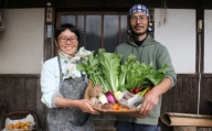 旬の自然農野菜おまかせセットB