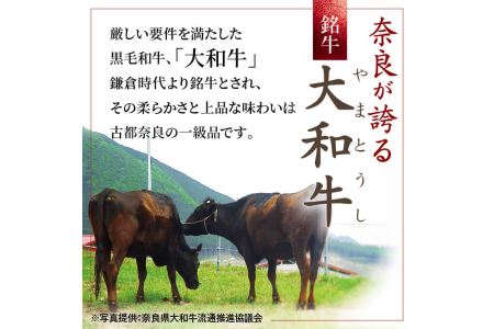 牛肉 和牛 ブランド牛 大和牛 焼肉セット 大和牛専門店 一 H-45